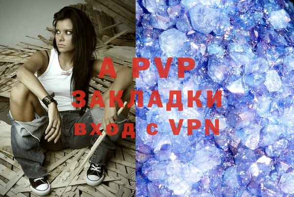 индика Алексин