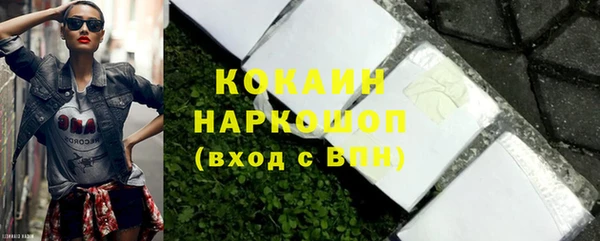индика Алексин