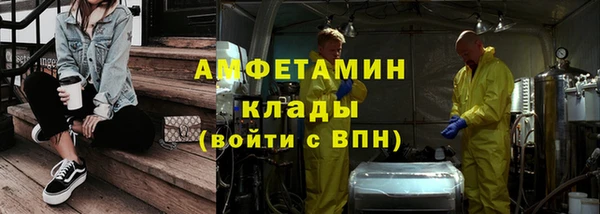 индика Алексин